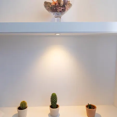 Appartement Daisy House